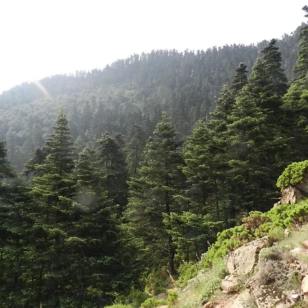 Rurales Jardines Del Visir アパート