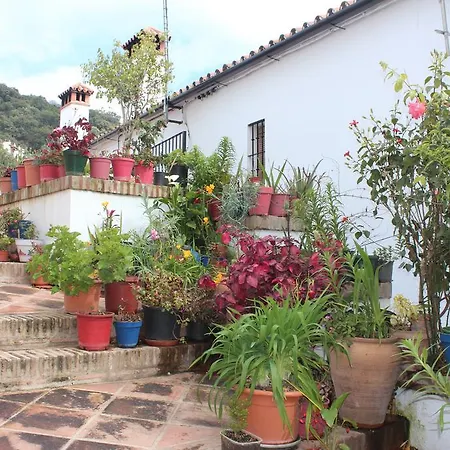 Rurales Jardines Del Visir Genalguacil